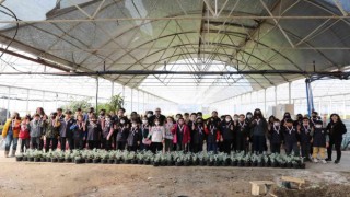 Büyükşehirin izcileri Zeytinparkta yemin edecek