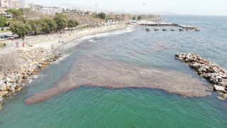 Caddebostan sahilinde deniz çekildi, yer yer kirlilik oluştu