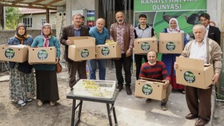 Çarşambada üreticiye 2 bin kaz yavrusu desteği