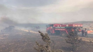 Çeşmede otluk alandaki yangına ekipler müdahale ediyor