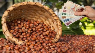 Çiftçiye 71 milyon lira destek