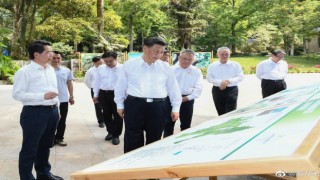 Çin Devlet Başkanı Jinping, Hainan Tropikal Yağmur Ormanları Ulusal Parkını ziyaret etti