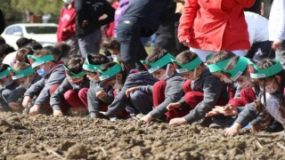 Çocuklar mor patates tohumlarını toprakla buluşturdu