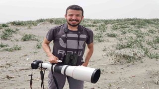 Çöl kulaklı toygarı kuşu Türkiyede ilk kez Hatayda gözlemlendi