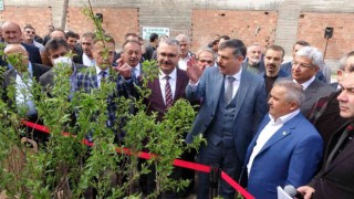 Çorumda çiftçilere ücretsiz sahlep ve badem fidanı dağıtıldı