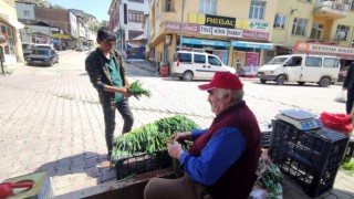 Dağdan topladıkları otlarla geçimlerini sağlıyorlar