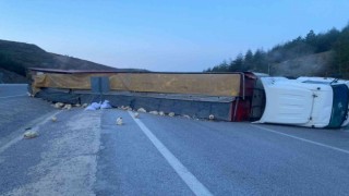 Devrilen tırda yüzlerce tavuk telef oldu