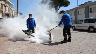 Didim Belediyesi ilaçlama çalışmalarına başladı