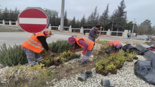 Dikey Bahçede bakım ve düzenleme çalışmaları