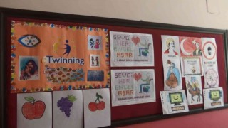 Diyarbakırda görme engelli öğrenciler e-Twinning projesi ile engelleri ortadan kaldırıyor