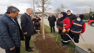 Düzce Belediyesi Park bahçeler ilk çeyreği dolu dolu geçirdi