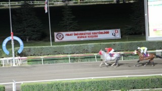 Elazığda at yarışlarına sayılı günler kaldı