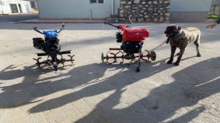 Elazığda çapa motoru ve kangal köpeği çalan şüpheliler yakalandı