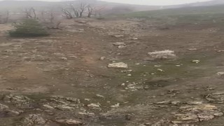 Elazığda kurt sürüsü görüntülendi
