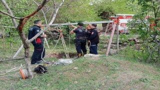 Elazığda kuyuya düşen inek kurtarıldı