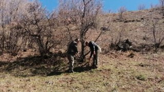 Elazığda yaban hayatı ve kaçak avcılar, fotokapanlarla tespit ediliyor