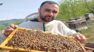 En ballı ilde arıcılar sezona hazır