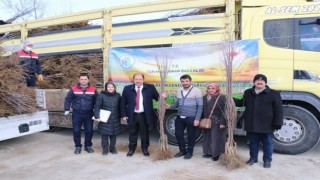 Erzincanda meyvecilik sektörüne yatırımlar sürüyor