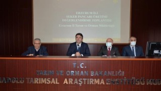 Erzurumda şeker pancarı üretimi değerlendirme toplantısı