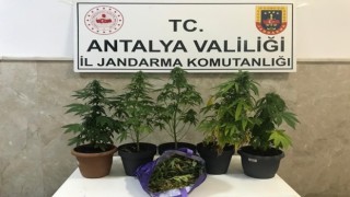 Evde uyuşturucu imal eden 2 şüpheli yakalandı