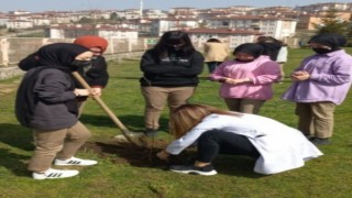 Fidan dikme ve bağış şartıyla uzlaştılar