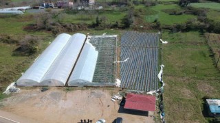 Fırtınada çilek serası, birkaç saniyede 400 bin TL zarara uğradı
