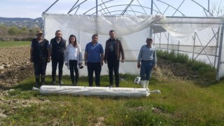 Fırtınada zarar göre seralara büyükşehirden destek