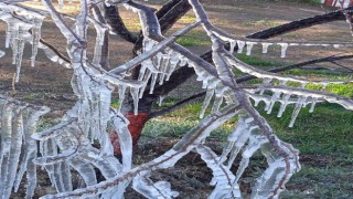 Fıskiyenin açık bırakılmasıyla park buzla kaplandı