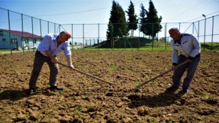Futbol sahası soğan tarlası oldu