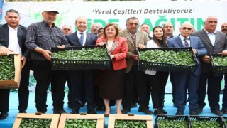 Gaziantepte tarımsal üretime 2 milyon fide desteği