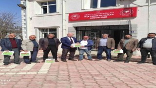 Gercüşte çiftçilere yüzde 85 hibeli bordo bulamacı dağıtıldı