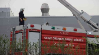 Gıda fabrikasının çatısında çıkan yangın korkuttu