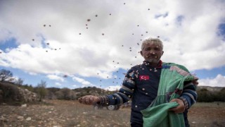 Gülnarda atalık nohut tohumları toprakla buluştu