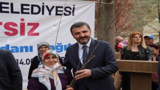 Gümüşhanede 5 bin ceviz fidan dağıtıldı