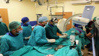 Gürcistanda ölümü beklenen hasta Samsunda sağlığına kavuştu