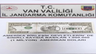 Gürpınarda 1 milyon dolarlık banknot ele geçirildi
