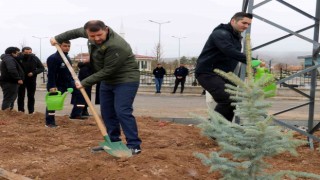 Hamidiye 350 fidanla taçlandı