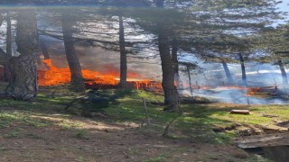 Hatayda Amanoslar Üçkoz Yaylasında çıkan yangında 5 ev yandı