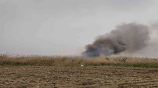 Hatayda sazlık alanda yangın