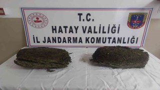 Hatayda uyuşturucu operasyonu