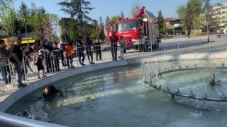 Havuza giren köpek için seferber oldular