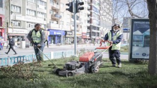 Hedef, daha yeşil bir Kütahya