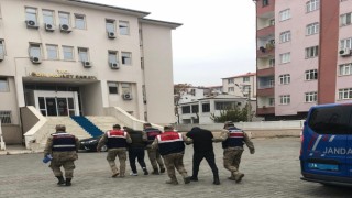 Iğdırda koyun hırsızlığı: 3 şüpheli tutuklandı