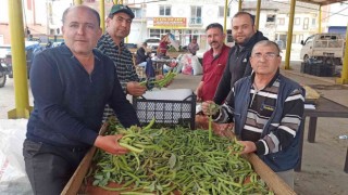 İlkbahar sebzesi baklada hasat zamanı