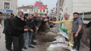 İneboluda vatandaşlara ücretsiz meyve fidanı dağıtıldı