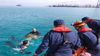 İskenderun Körfezinde bitkin bulunan Caretta Caretta koruma altına alındı