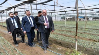 Ispartanın yaş sebze merkezi Deregümünde sezon açıldı