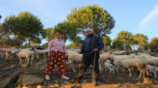 İzmirin çoban haritası çıkarıldı