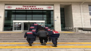 Jandarma 11 faili meçhul hırsızlığı aydınlattı