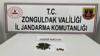 Jandarma şüphelendiği araçta 2 adet salep soğanı ele geçirdi